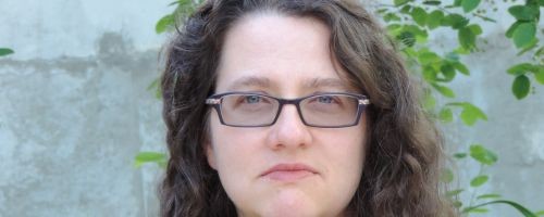 A.M. Dellamonica, author