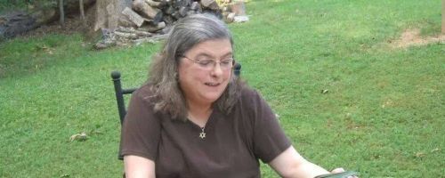 B.K. Stevens, author