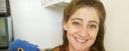 Dawn Ryder, author