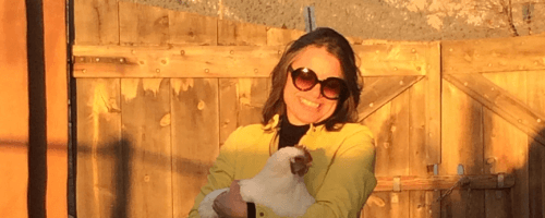 S.M. LaViolette, author