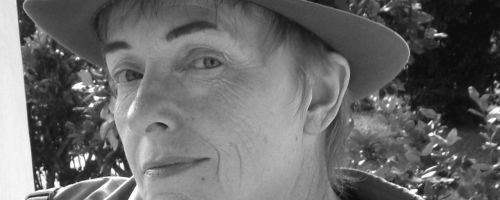 Susan Fleet, author