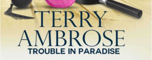 Terry Ambrose, author